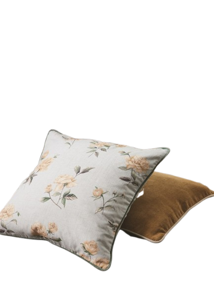 _MG_9682_copy-removebg-preview