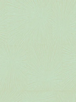 Armani Casa Refined Structure 2 luxury textured wallpaper in soft mint green with refined radial pattern for premium interiors